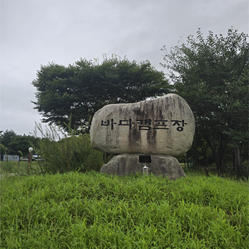 71번째 양양 바다캠프장 26.8.29