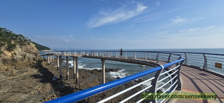 Boryeong Travel with Three Kids: Osan Natural Recreation Forest, Boryeong Undersea Tunnel, Wonsando Beach