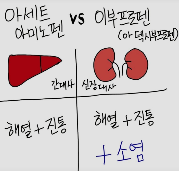 타이레놀 만병통치약 일까? 해열 소염 진통제 종류 아세트아미노펜 이부프로펜 덱시부프로....