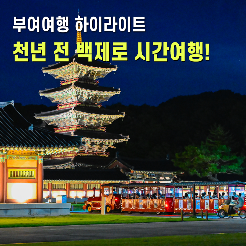 충청도 부여 가볼만한곳 부여백제문화단지 야간개장 부여야경