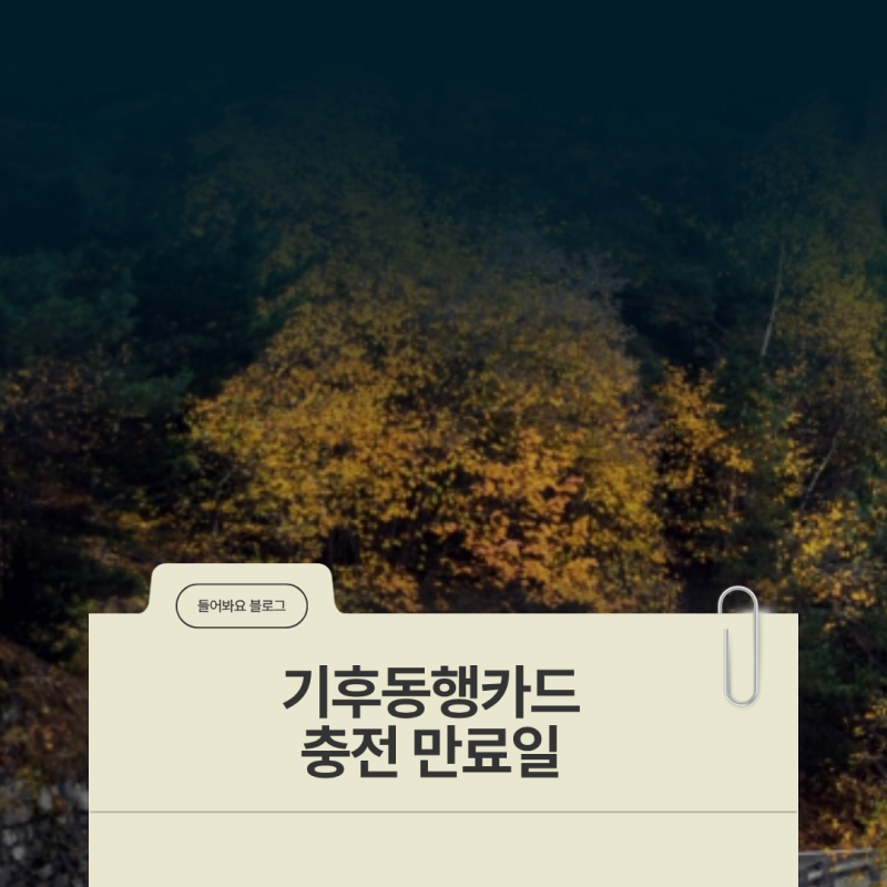 기후동행카드 충전 만료일 확인 및 잔여 기간 관리법