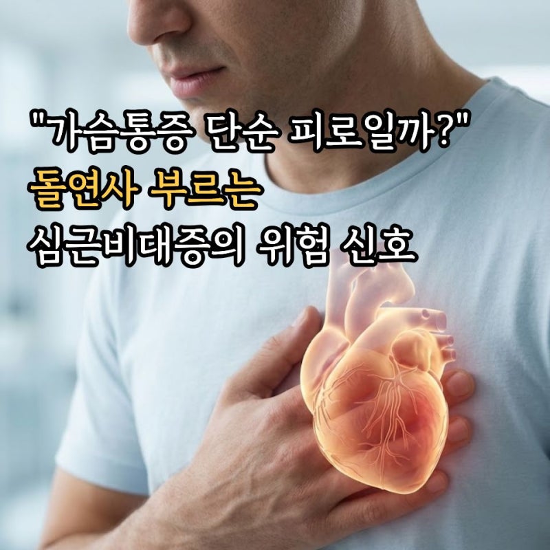 심근비대증이란? 뜻 원인 증상부터 심장초음파 검사 및 치료 방법 총정리