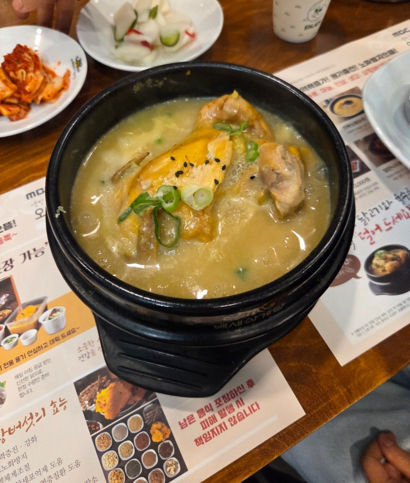 수원 진한 국물 삼계탕 맛집 백세삼계탕 수원조원