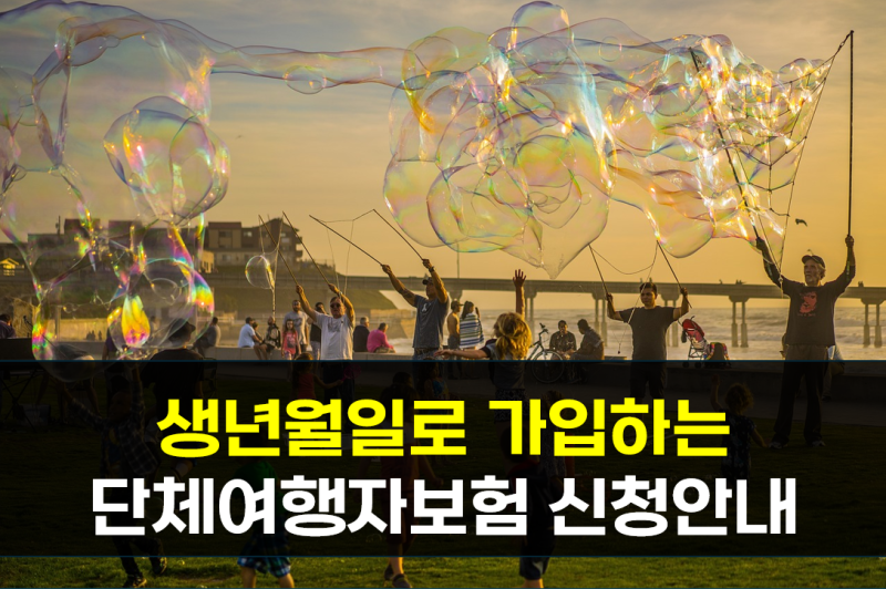 단체여행자보험 주민등록번호 준비하기 까다롭다면? 생년월일과 성별로만 간편하게 가입하....