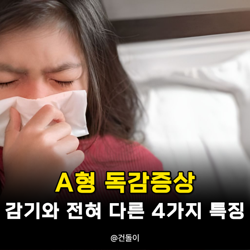 A형독감 증상 감기와 전혀 다른 4가지 특징