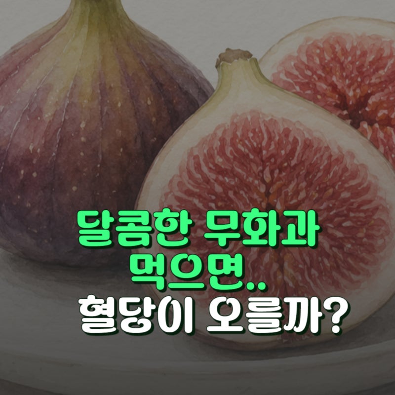 혈당 올리는 무화과 당도와 칼로리 올바른 보관법