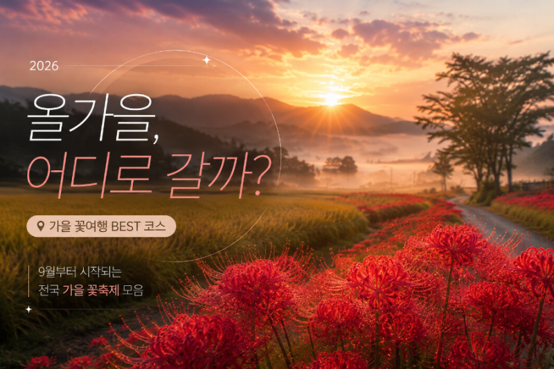 2026 가을 꽃축제 총정리｜정읍 구절초·고창 꽃무릇 핑크뮬리·영광 상사화 어디로 갈까?