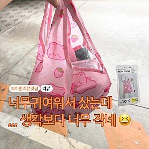 다이소 장바구니 추천 너무 귀여워서 산 접이식 시장가방 1,000원