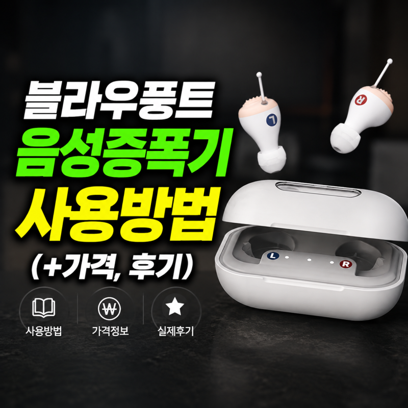 블라우풍트 음성증폭기 사용방법(+가격,후기)