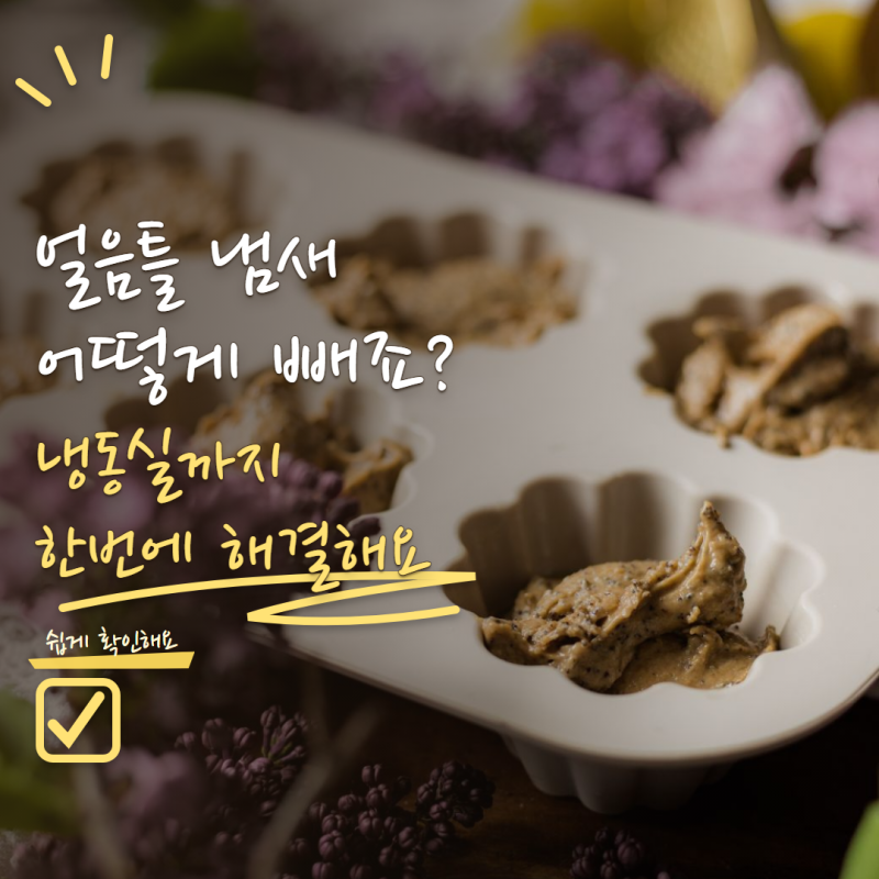 실리콘 얼음틀 냄새 제거 세척해도 남는다면? 냉동실 냄새 빼는 방법 5가지