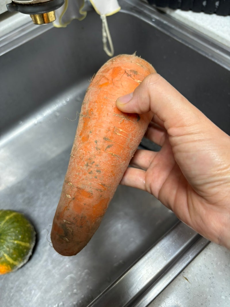 오늘 메뉴, 채식, 당근, 단호박, 맛있게 먹는 법..가족 모두 채식할 수 있을까?