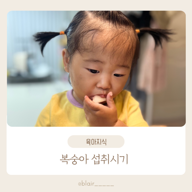 아기 복숭아 언제부터 권장섭취시기 효능 주의사항까지