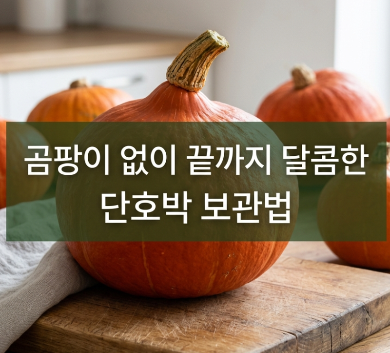 단호박 보관법 | 통단호박 실온 후숙부터 미니·찐단호박 냉장·김치냉장고 보관 & 전자레인....