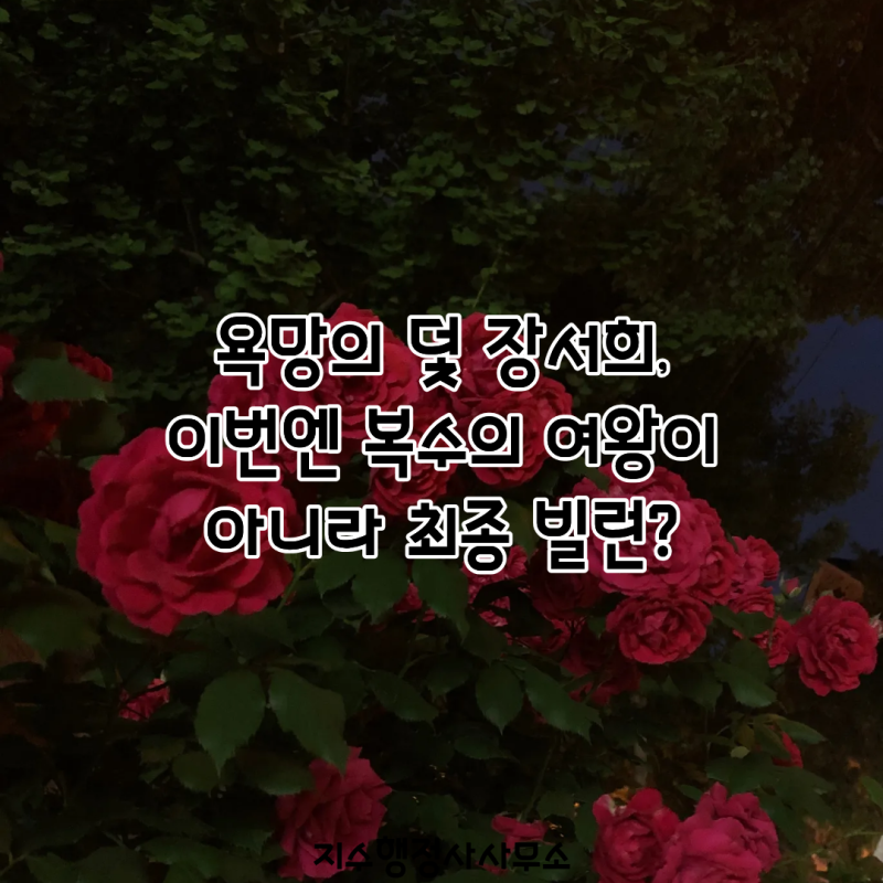 욕망의 덫 장서희, 이번엔 복수의 여왕이 아니라 최종 빌런? 전혜원 인생 망가뜨린 진짜 이유....