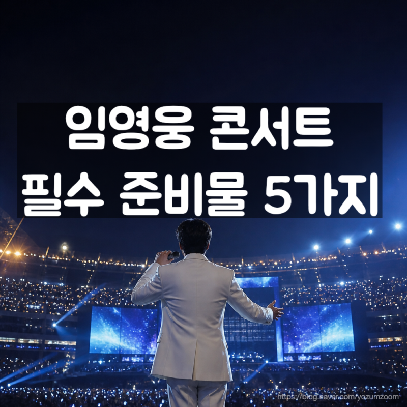 2026 임영웅 고양 콘서트 일정·좌석 시야·준비물 총정리