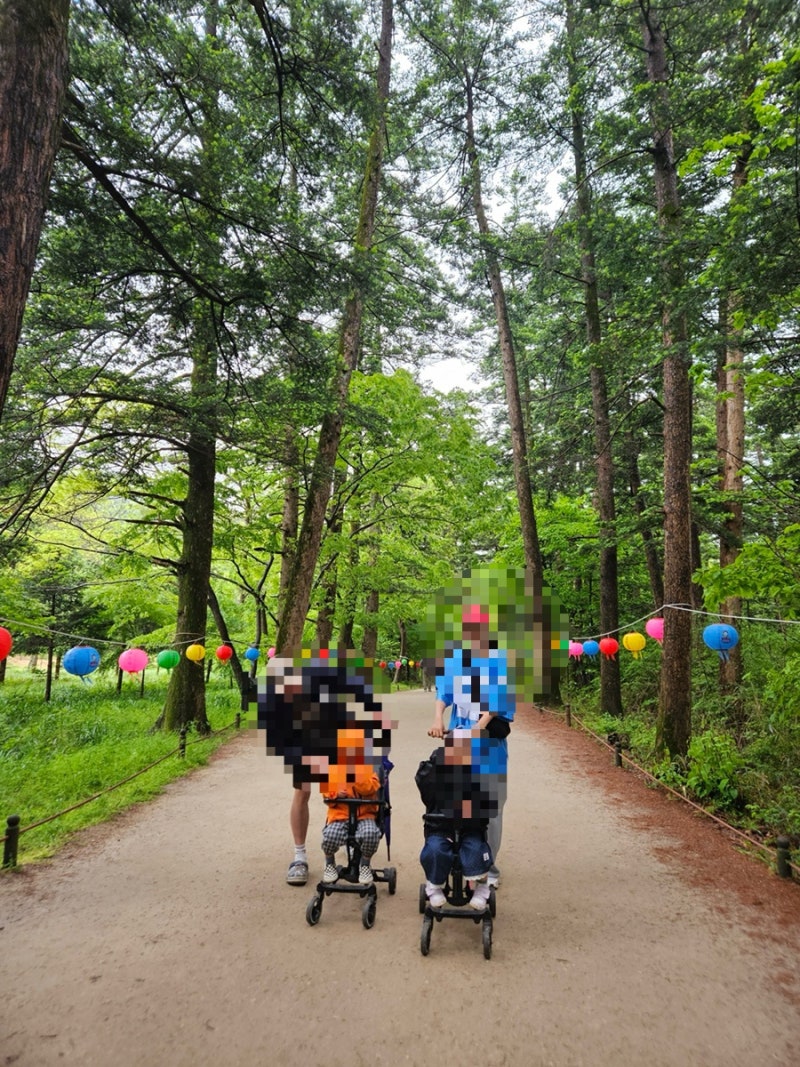 4살 37개월 쌍둥이 휴대용유모차 원픽. 에이블유모카플러스 트라이크 (1년 사용후기)