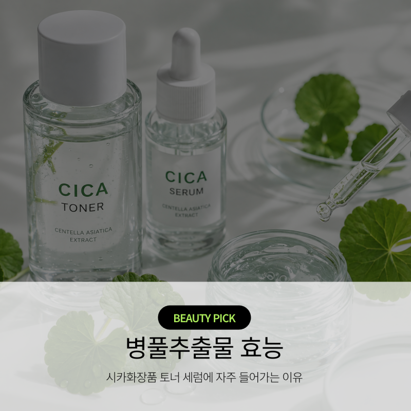 병풀추출물 효능 뭐길래? 시카 화장품 토너 세럼에 자주 들어가는 이유