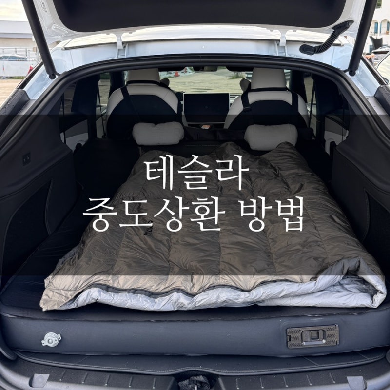 테슬라 할부 중도상환 방법 모델Y 일시불
