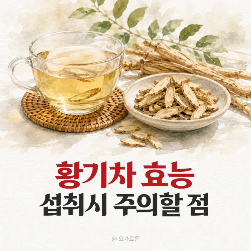 황기차 효능 먹는법, 이런분은 섭취 조심