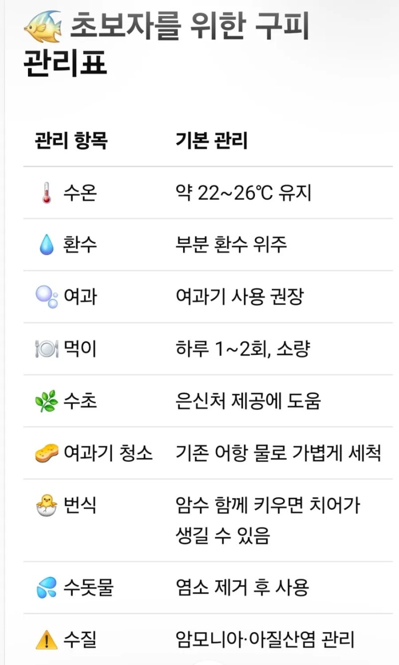 구피 키우는 방법 총정리｜초보도 실패하지 않는 어항 관리법 |구피키우기준비물