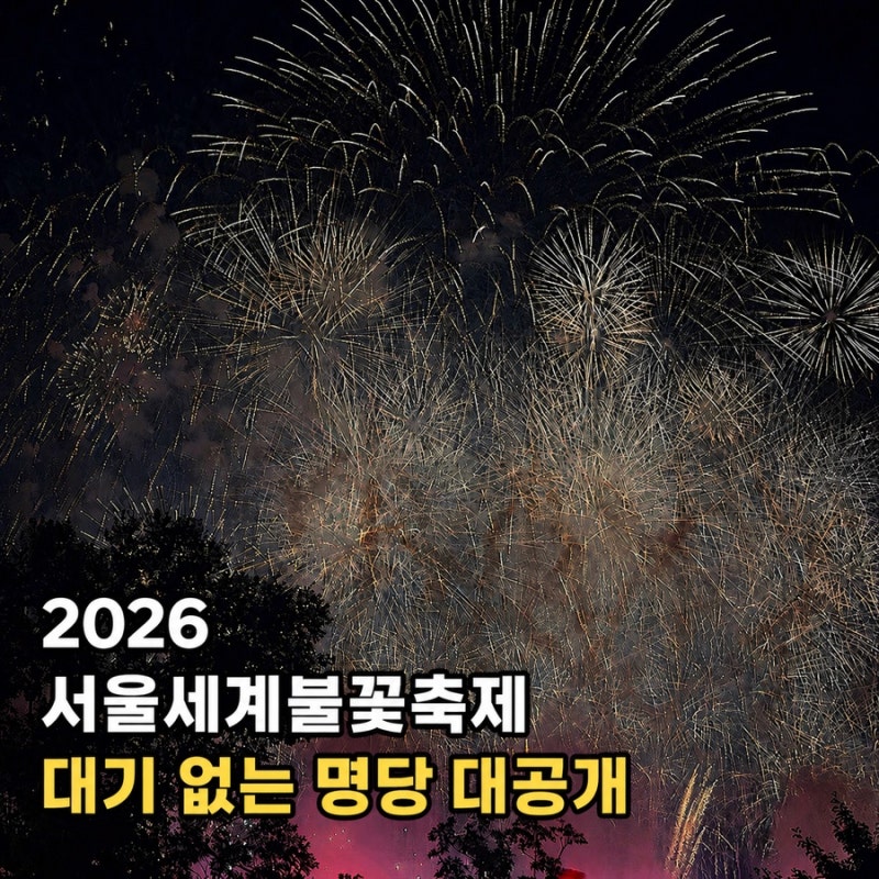 2026 서울 여의도 불꽃축제 대기 없는 숨은 명당 공개ㅣ노량진축구장 비추, 63빌딩 + 작년 후기