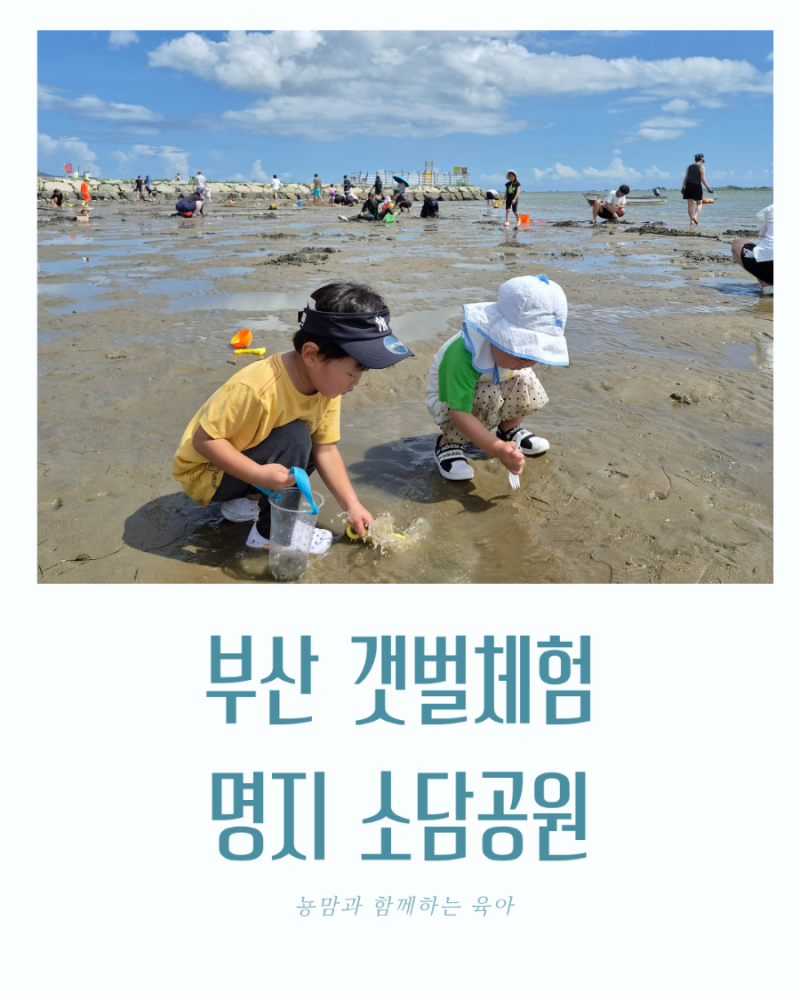 명지 소담공원 물때 해루질 아이랑 갯벌체험 주차