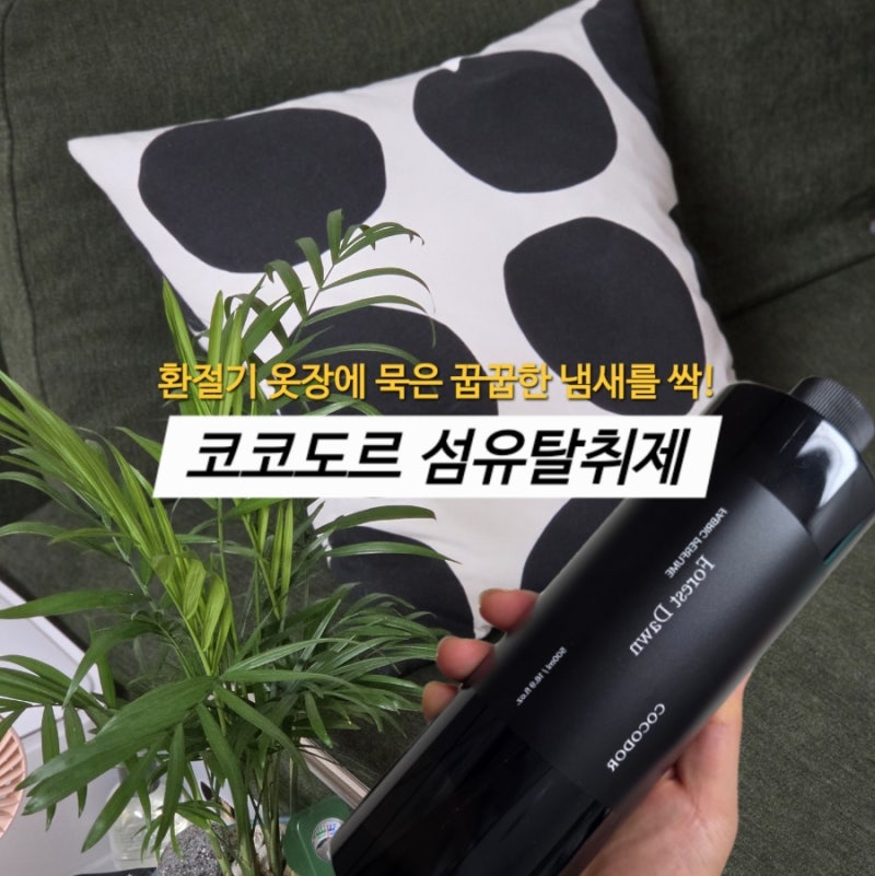 가을 철 옷 냄새 제거, 우디한 탈취제 추천: 코코도르 섬유탈취제 포레스트던
