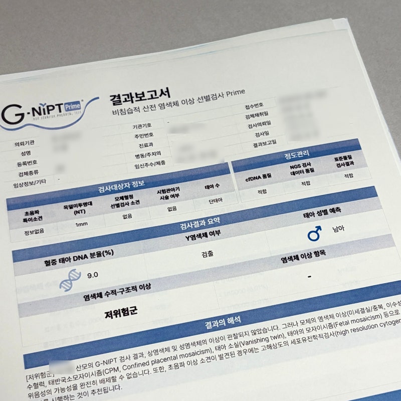 P7. 임신 12주차 니프티 검사 1차 기형아 검사와 비교 산전 태아 염색체 이상 선별검사 성별 확....