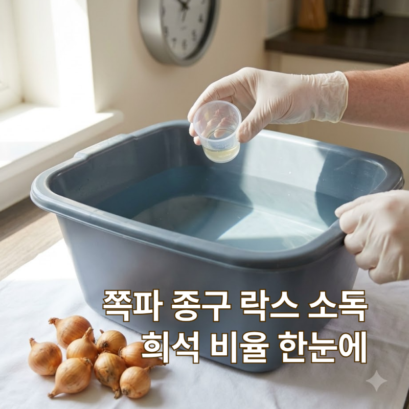 쪽파 종구 락스 소독, 물과 락스의 정확한 비율은?