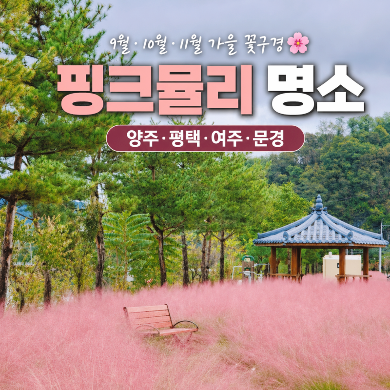 핑그뮬리 명소 9월 10월 11월 가을 꽃 구경 가볼만한 곳
