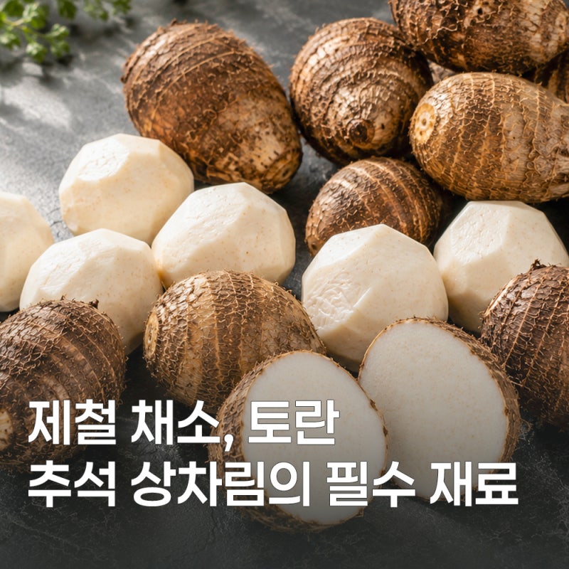 토란 효능부터 손질법까지 한 번에 알아보기