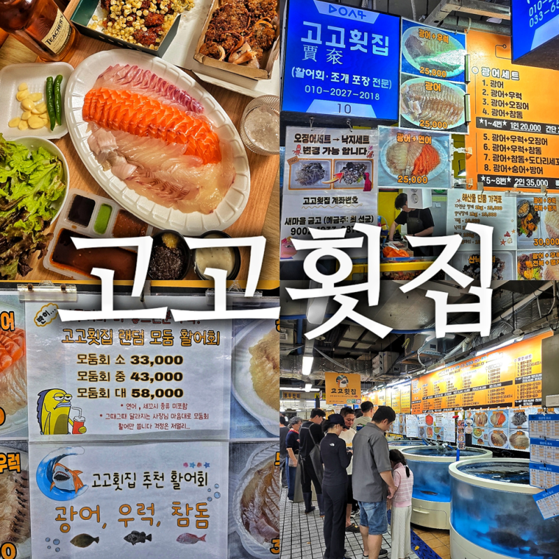 강릉 중앙시장 횟집 회포장 가성비갑 고고횟집 후기