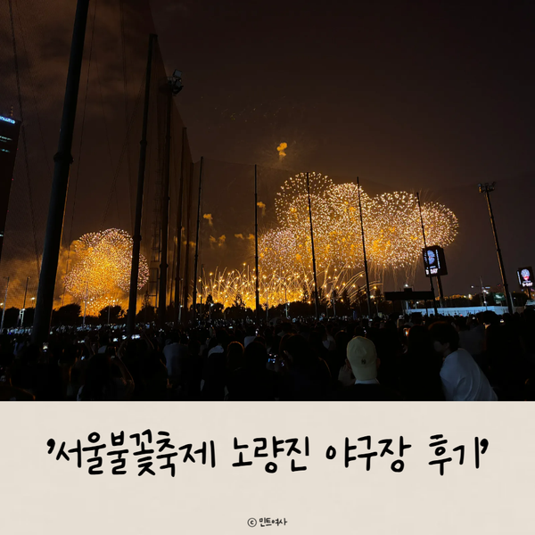 "서울세계불꽃축제 노량진 축구장&야구장 불꽃 상세 후기/추천자리/꿀팁/준비물"