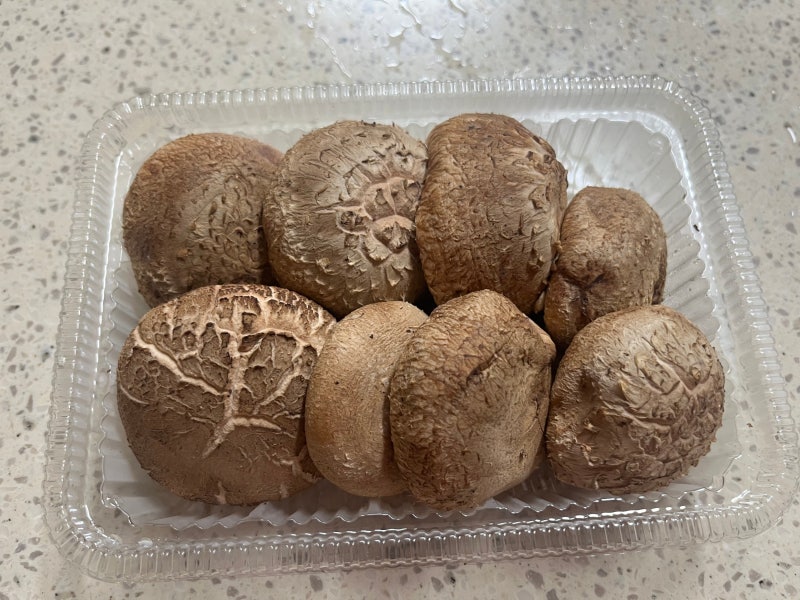 표고버섯 냉장 보관 얼마나 갈까? 씻어서 보관해도 될까? 보관법 총정리