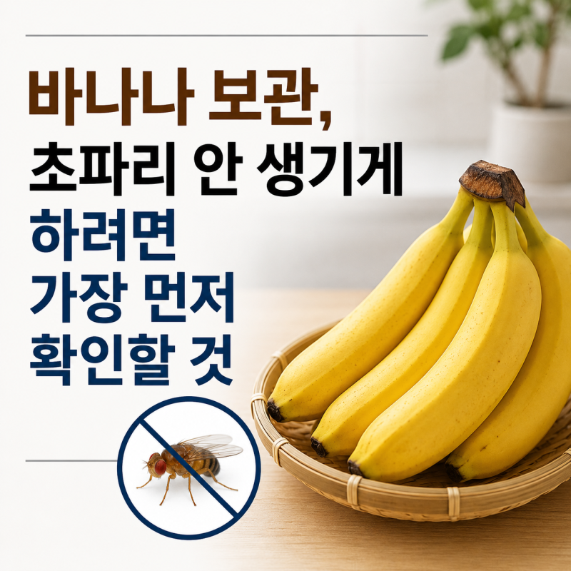 바나나 보관, 초파리 안 생기게 하려면 가장 먼저 확인할 것