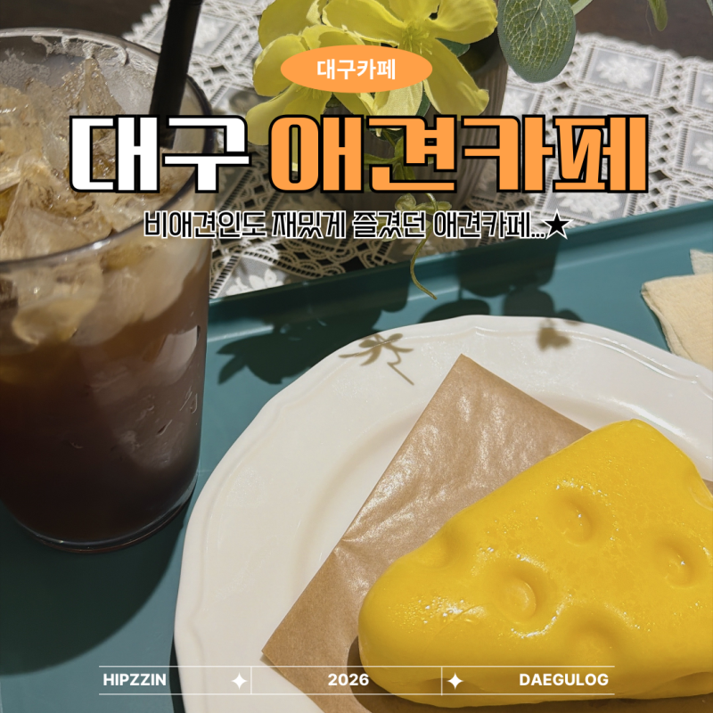 동성로 강아지 카페 댕하우스&빙수킹 대구 애견수영장 비애견인 후기