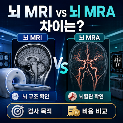 뇌 MRI와 뇌 MRA 차이는?｜검사 목적·검사 비용 비교