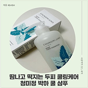 두피 열감에 시원하게 , 청미정 박하 쿨 샴푸로 두피 쿨링 케어 후기
