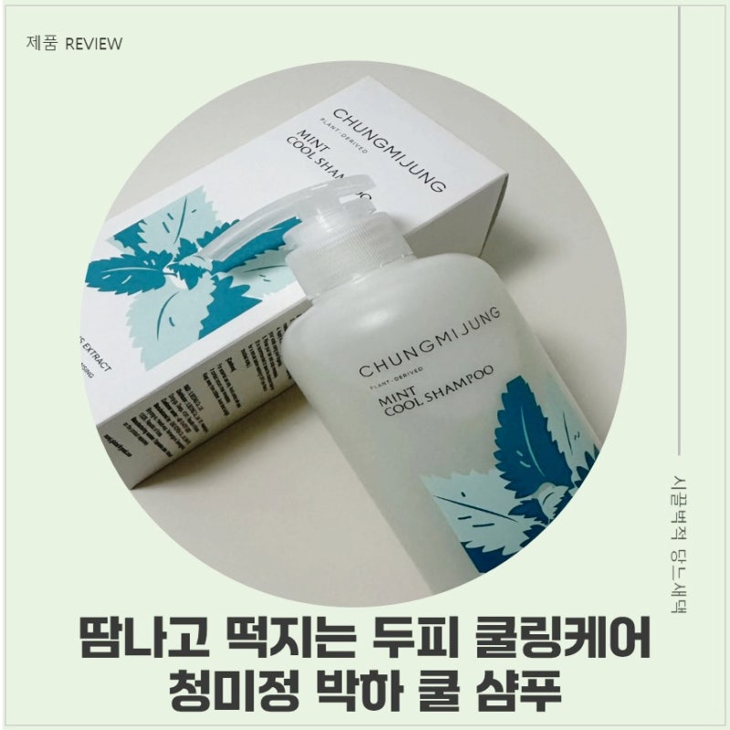 두피 열감에 시원하게 , 청미정 박하 쿨 샴푸로 두피 쿨링 케어 후기