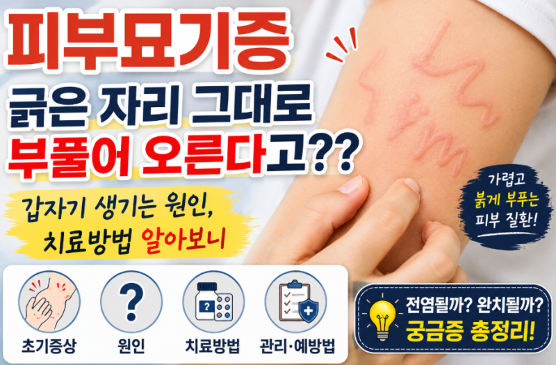 피부묘기증 긁은 자리 그대로 부풀어 오른다고?? 갑자기 생기는 원인·치료방법 알아보니