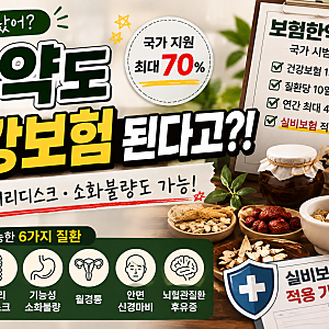 한약도 건강보험 된다고? 실비보험도 될까? 비염·허리디스크 등 6개 질환 첩약 보험 총정리