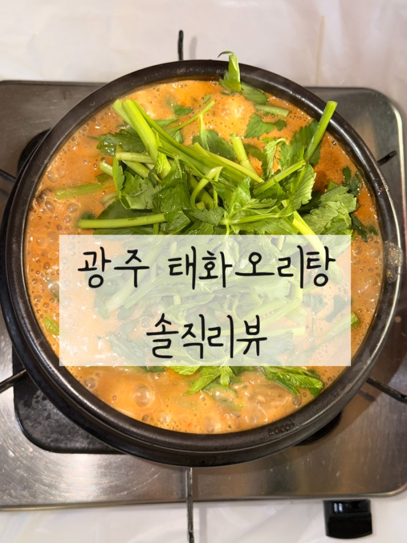 광주 태화오리탕 / 광주 오리탕골목 오리탕맛집추천, 오리로스 맛집 추천
