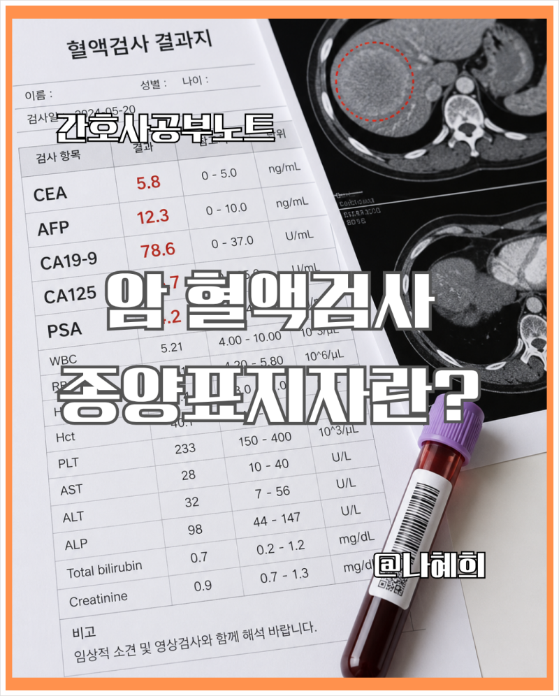 고형암 종양표지자 종류 총정리｜CEA·AFP·CA19-9·CA125·PSA 의미