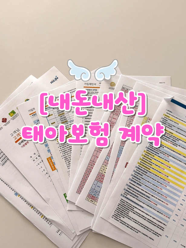 현대해상 태아보험 산모특약 보험료 / 아빠명의 차이, 엄마보장 제한 가입후기
