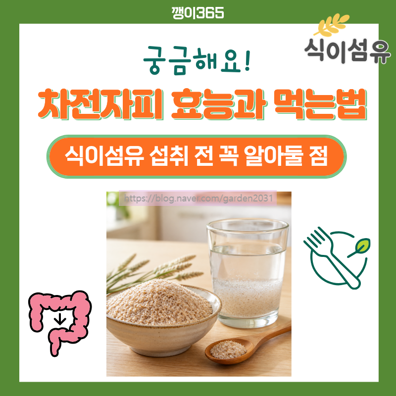 차전자피 효능과 먹는법｜식이섬유 섭취 전 꼭 알아둘 점