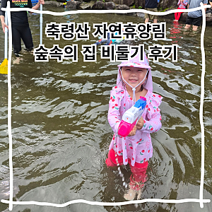 휴양림 예약 방법 및 축령산자연휴양림 계곡 숲속의집 비둘기 후기