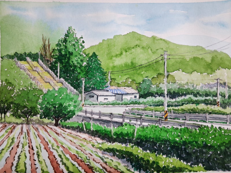 청량한 여름-사계절을 그리다_조정은