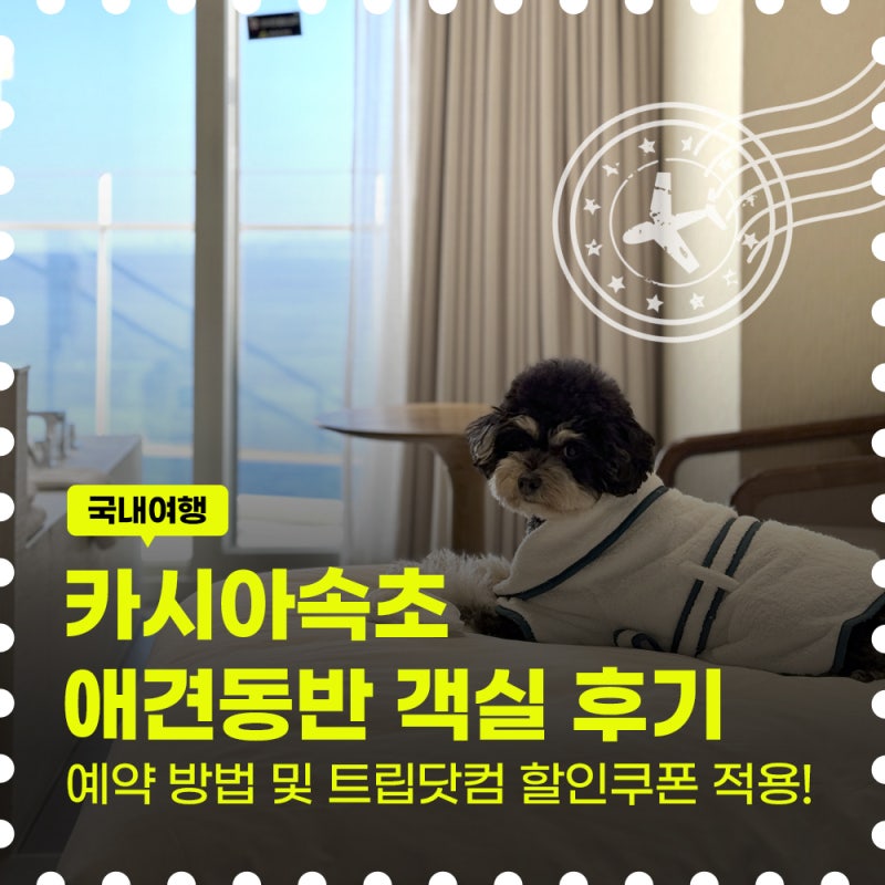 카시아속초 애견동반 객실 가격 및 예약 방법(트립닷컴 할인쿠폰)