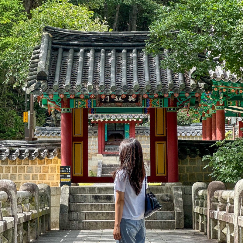 대구 근교 가볼만한곳 구미 여행 나들이 금오산 계곡 채미정