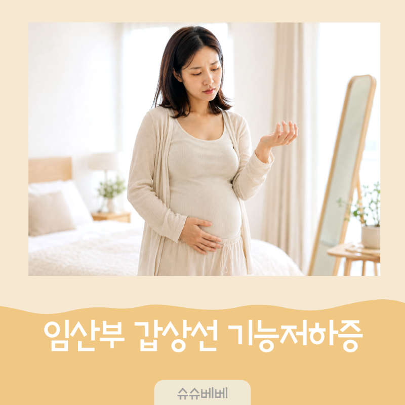 임산부 갑상선 기능저하증 수치, TSH 기준과 원인 초기 증상